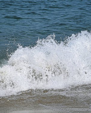 Sahilde deniz dalga köpüğü