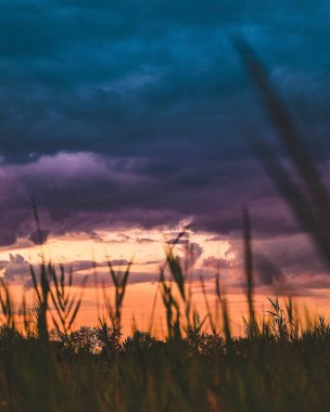 Ormanın üzerinde güzel bir gün batımı