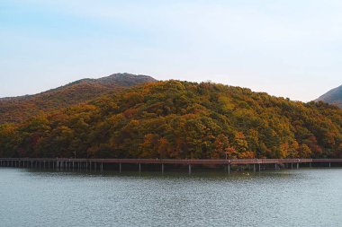 Ağaçlar ve dağlarla dolu sonbahar manzarası