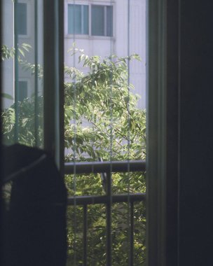 Güzel botanik fotoğrafı, doğal duvar kağıdı.