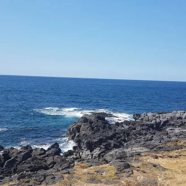 Deniz kıyısının güzel manzarası