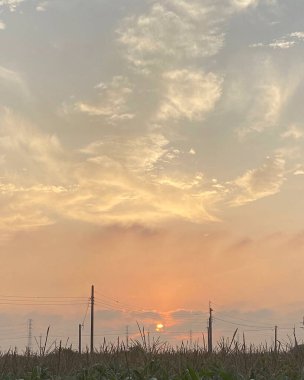 Güzel gün batımı manzarası