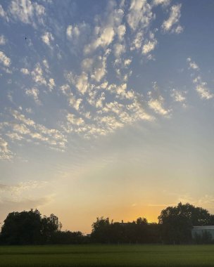 Tarlanın üzerinde güzel bir gün batımı