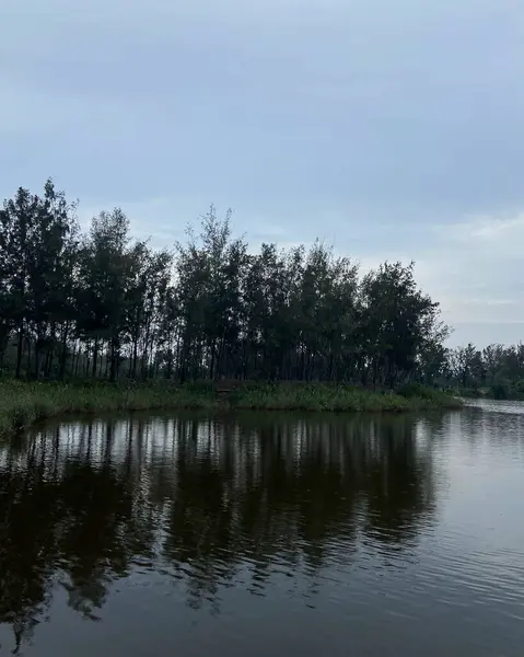 Güzel göl manzarası