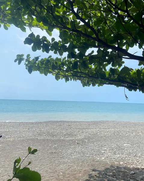 Palmiye ağaçları ve mavi gökyüzü olan güzel tropikal plaj