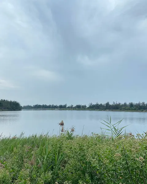 Göllü güzel bir manzara.