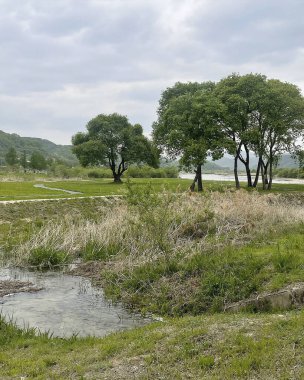 Parktaki nehrin güzel manzarası