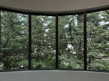 Ormanda yeşil bitkisi olan bir pencere manzarası