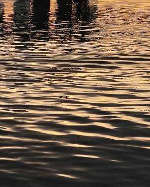 Sahildeki deniz dalgaları