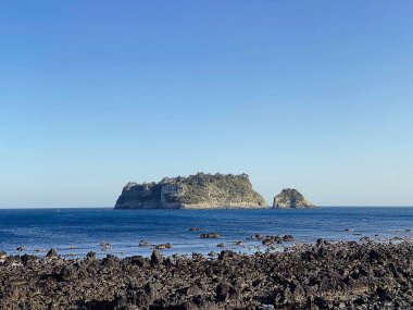 Deniz kıyısının güzel manzarası