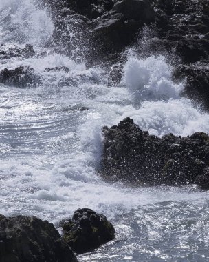 Deniz kıyısında..