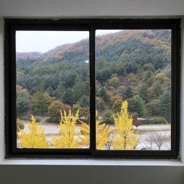 Şehirdeki evin penceresi.