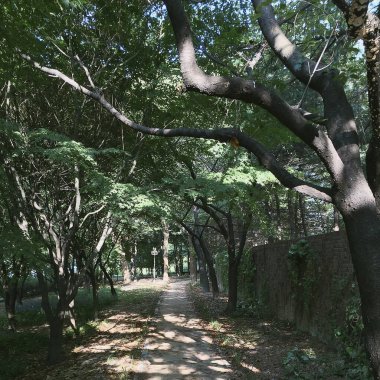 Şehrin güzel manzarası