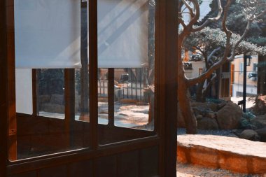 bir bardak su ile pencere