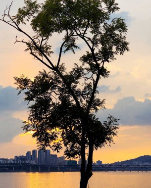 Barselona şehrinin manzarası