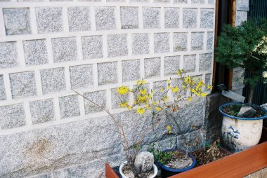 Japon tarzı, çiçekli tuğla duvar.