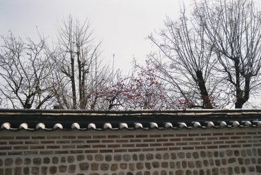 Şehirdeki eski tuğla duvar