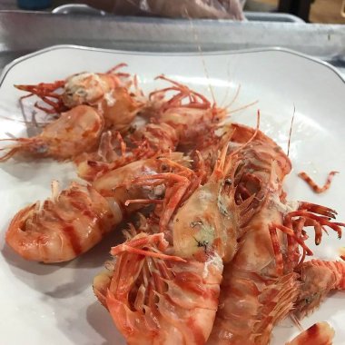 Lezzetli Asya yemeklerinin yakın görüntüsü