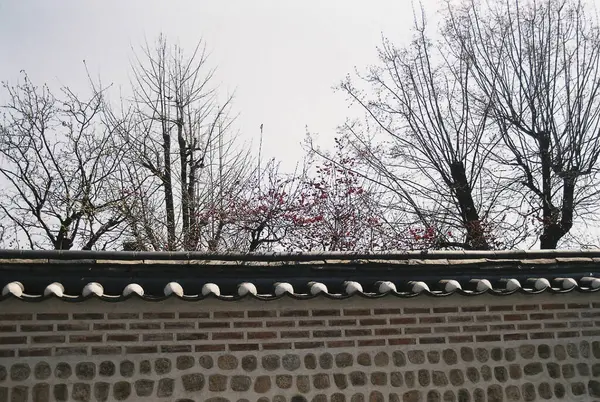 Şehirdeki eski tuğla duvar