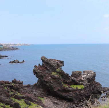 Doğanın güzel manzarası