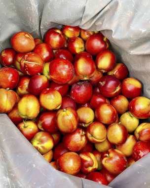 Plastik bir kabın içinde olgun kırmızı elmalar