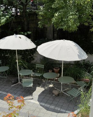 Bahçedeki yeşil bitkiler