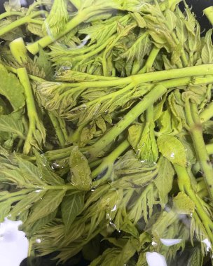 Piyasada taze yeşil yapraklar