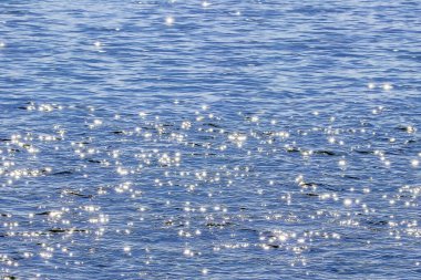 Su sıçraması denizin içinde