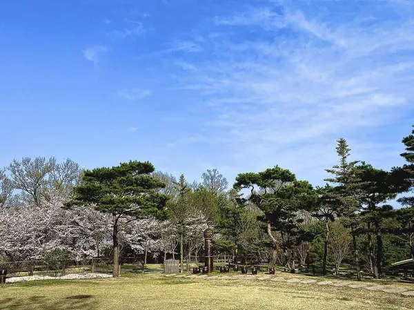 Parkın güzel manzarası