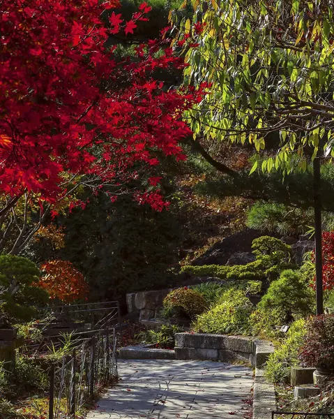 Ağaçlar ve yapraklarla dolu sonbahar manzarası