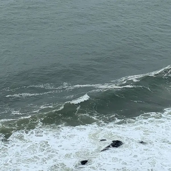 Güzel deniz manzarası