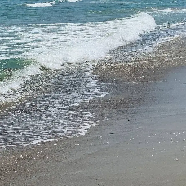 Akdeniz 'de dalgalar