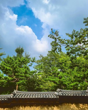 Parkın güzel manzarası