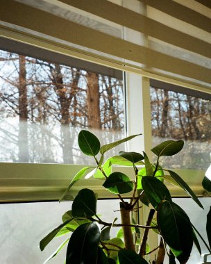 Bulanık arkaplanı olan güzel bir pencerenin yakın çekim görüntüsü.