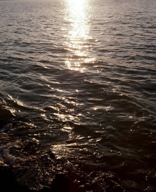 Sahildeki deniz dalgaları