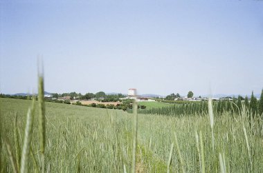 Ağaçlar ve mavi gökyüzü olan güzel bir manzara.
