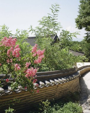 Parkın güzel manzarası