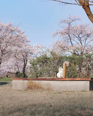 Parkın güzel manzarası