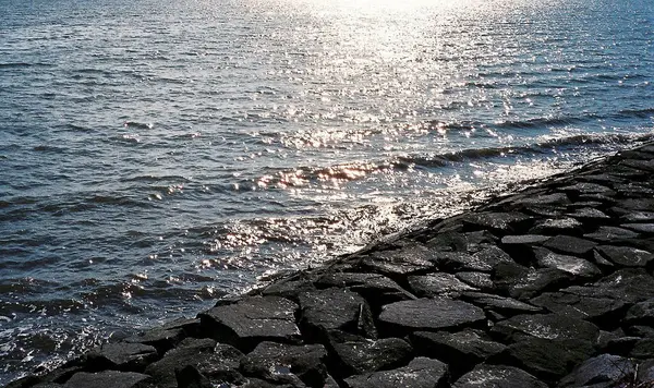 Sahilde deniz dalgaları