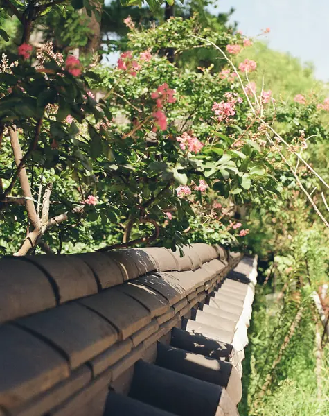 Güzel botanik fotoğrafı, doğal duvar kağıdı.