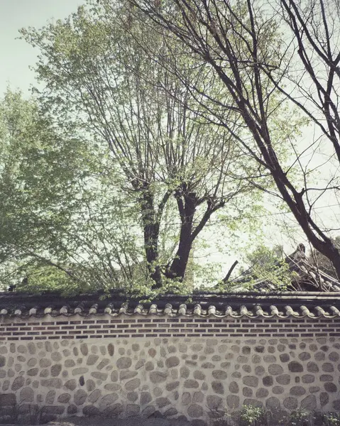 Parktaki eski ahşap çit