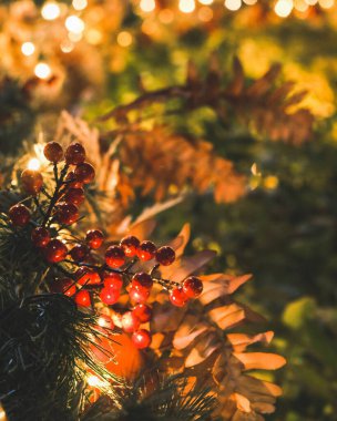 Kırmızı böğürtlenli Noel ağacı ve ahşap bir arka planda süslemeler. Noel ve yeni yıl tatili konsepti