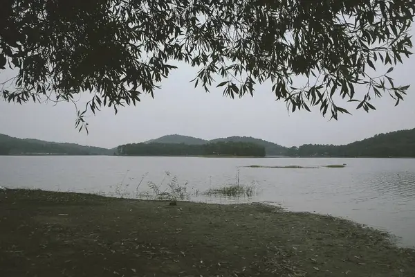 Sabah gölü olan güzel bir manzara.