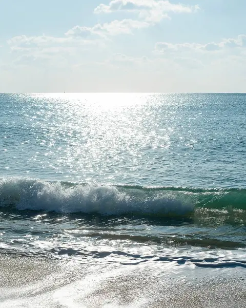 Yazın denizin ve denizin dalgaları