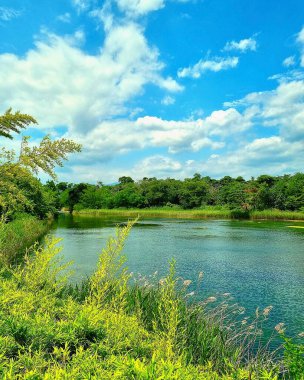 güzel bir göl manzara