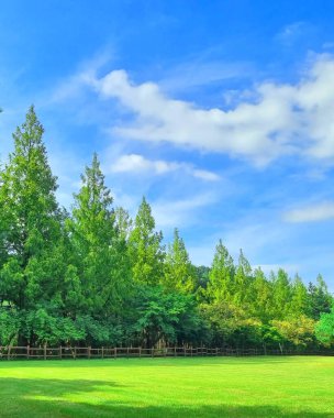 Parkın güzel manzarası