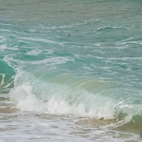 Sahildeki deniz dalgaları