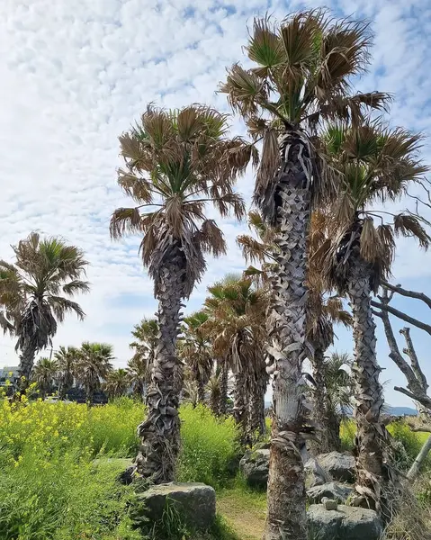 Doğanın güzel manzarası