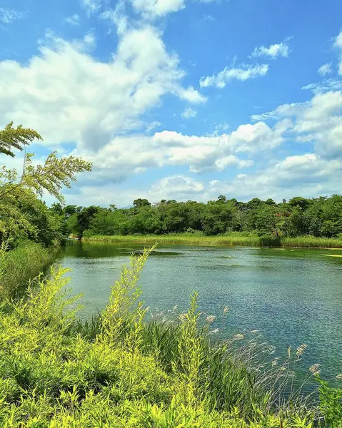 güzel bir göl manzara