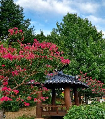 Parkın güzel manzarası